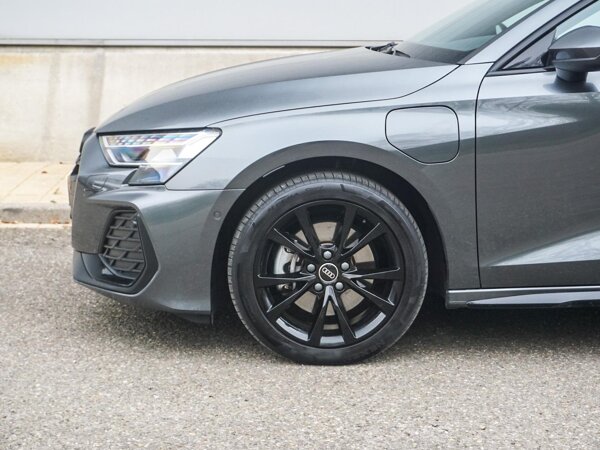 lichtmetalen velgen multi-spaaks 17"