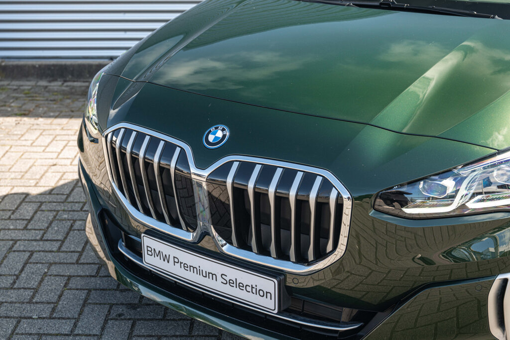 BMW 2 Serie 10