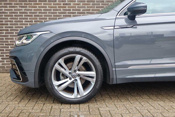 lichtmetalen velgen 19"