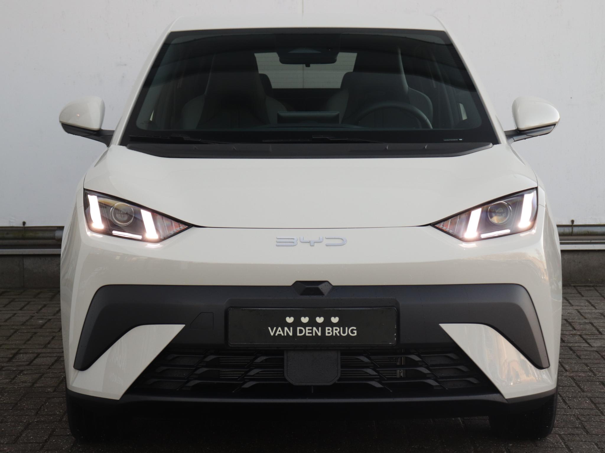 BYD DOLPHIN SURF Boost 43 kWh - Afbeelding 2