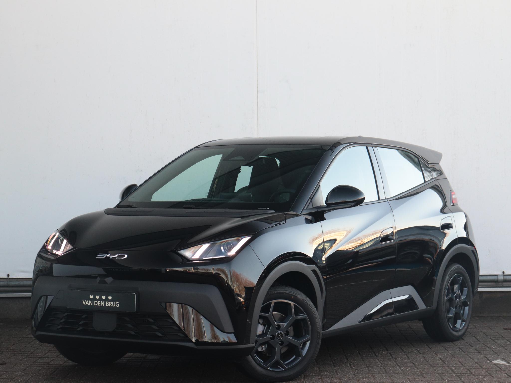 BYD DOLPHIN SURF Boost 43 kWh