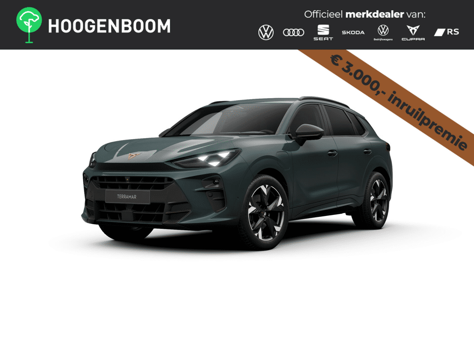 CUPRA Terramar Business - Afbeelding 1