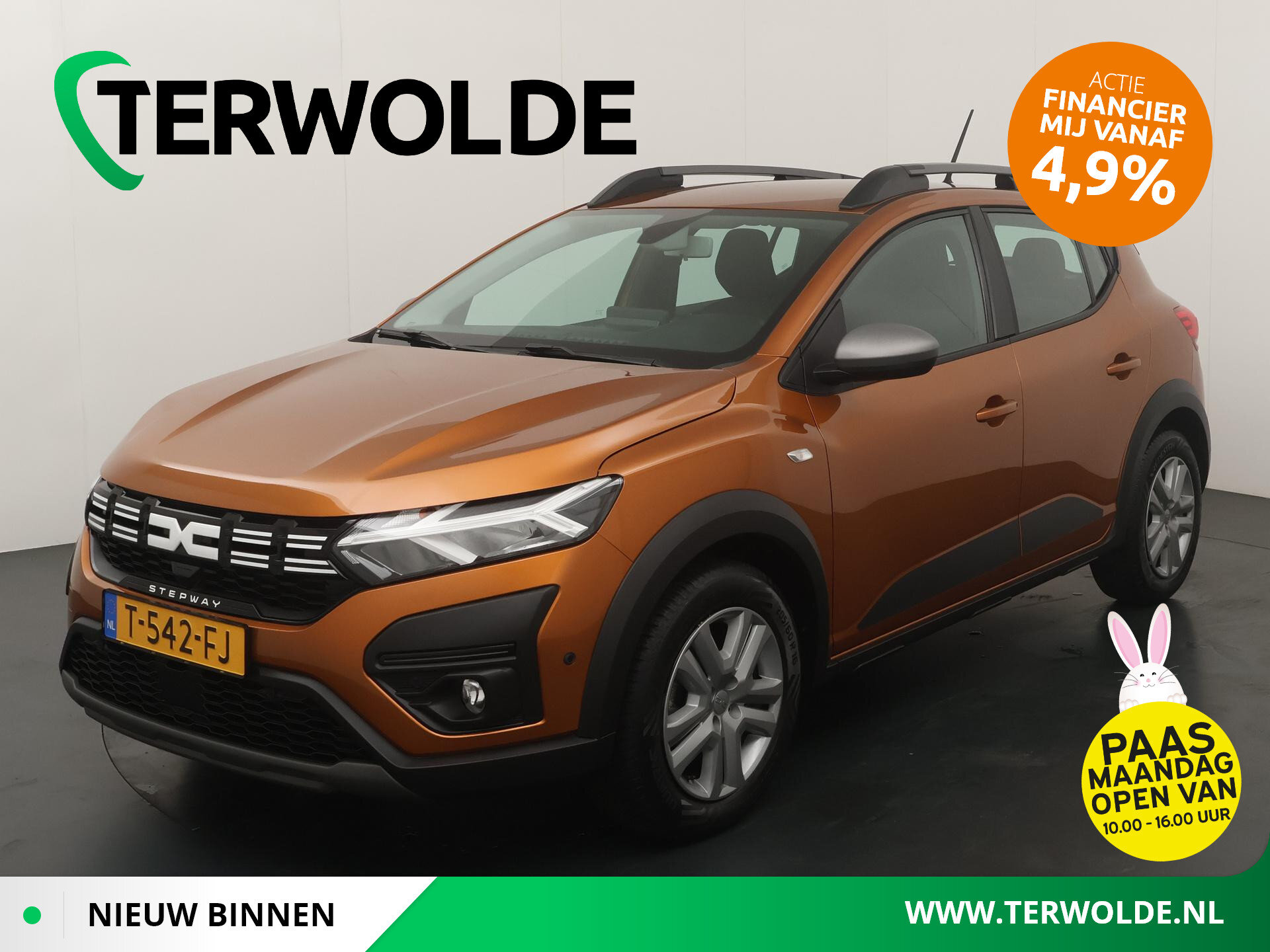 Dacia Sandero Stepway ECO-G 100 Expression