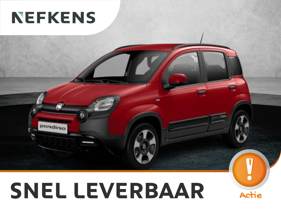 Fiat Pandina Cross - Afbeelding 1