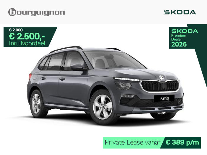 Škoda Kamiq Selection 1.0 TSI 115 PK | Automaat