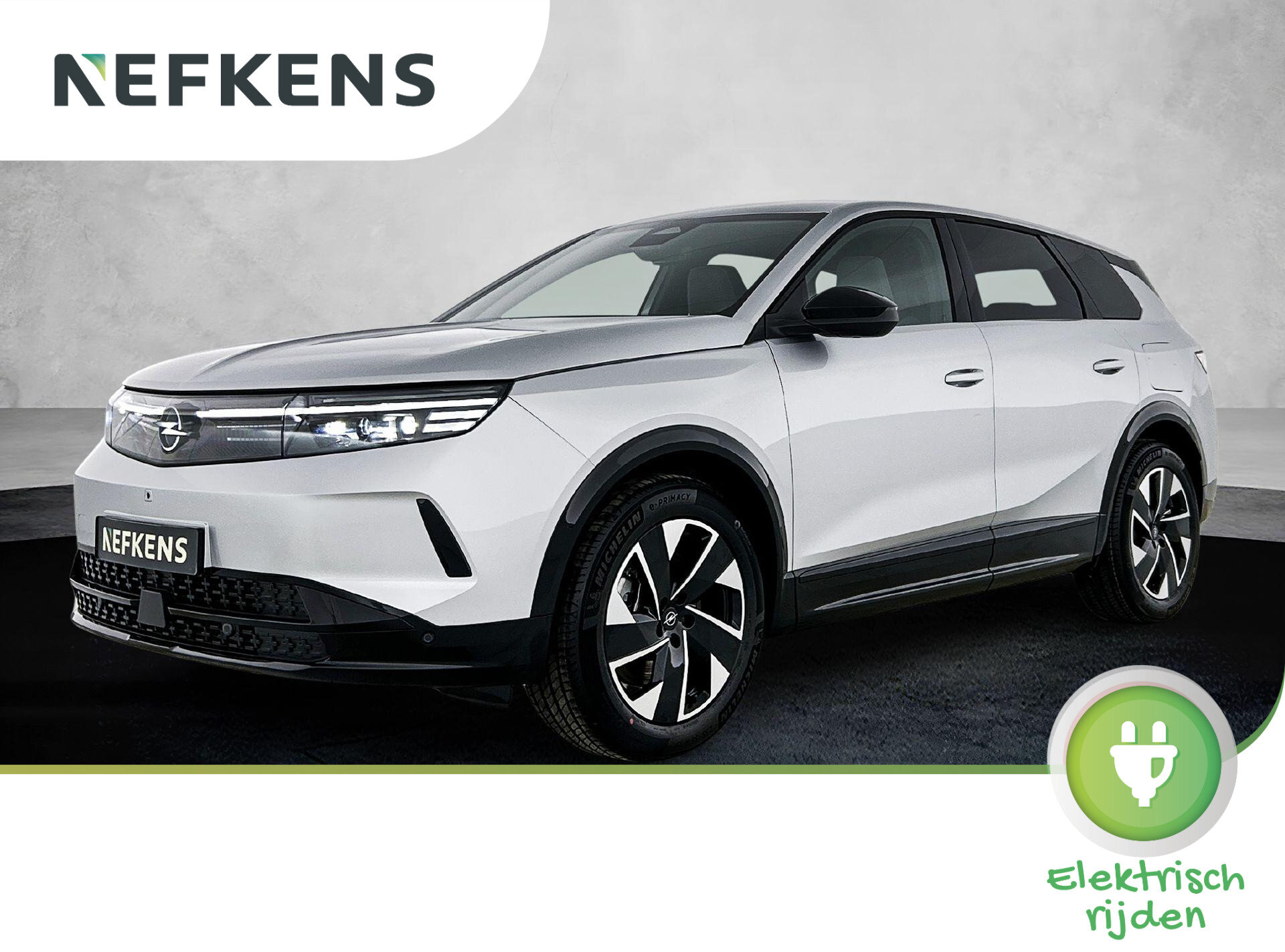 Opel Grandland Electric Business Edition 73 kWh 213pk Automaat - Afbeelding 1
