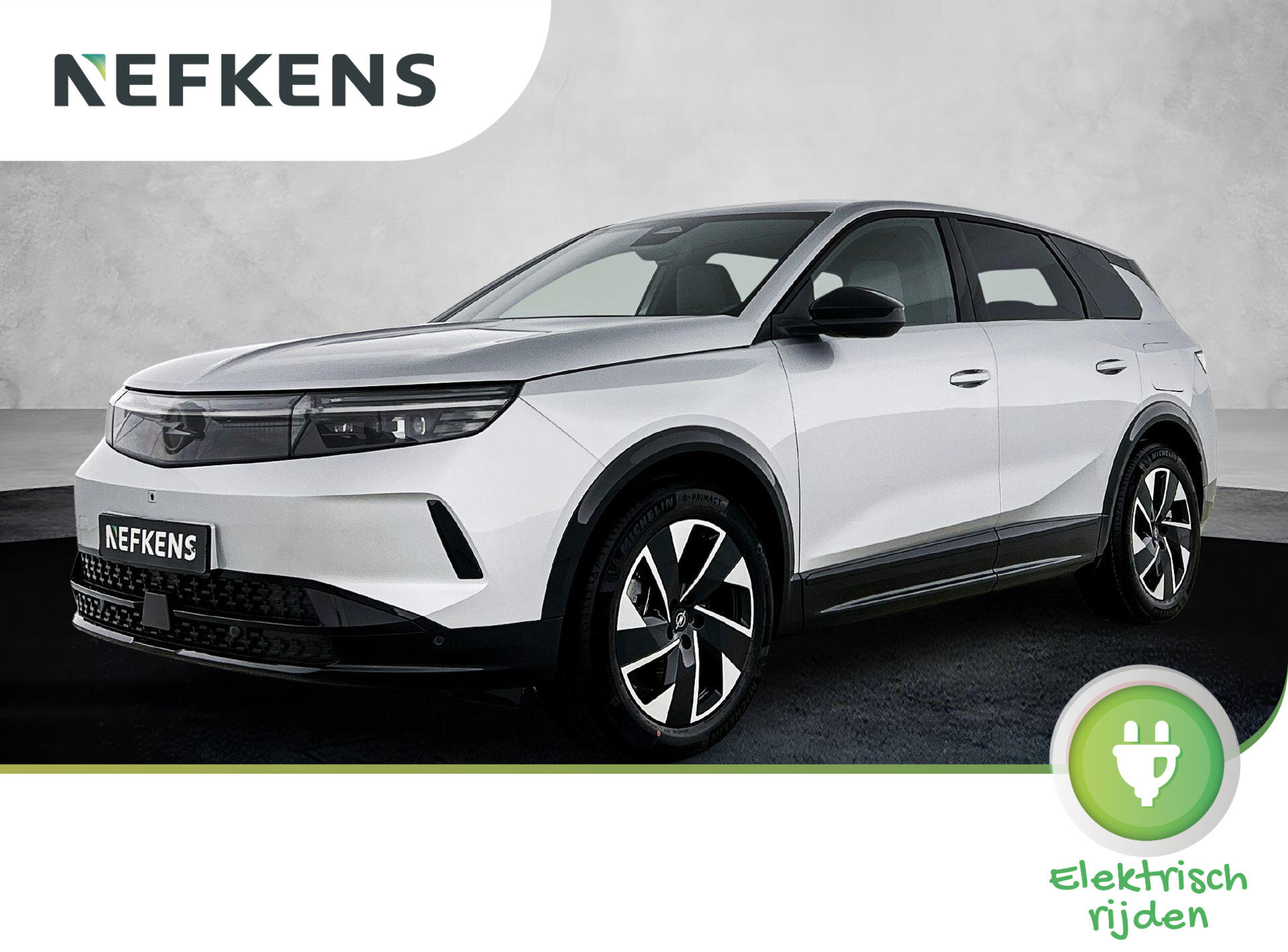 Opel Grandland Electric Business Edition 73 kWh 210pk Automaat