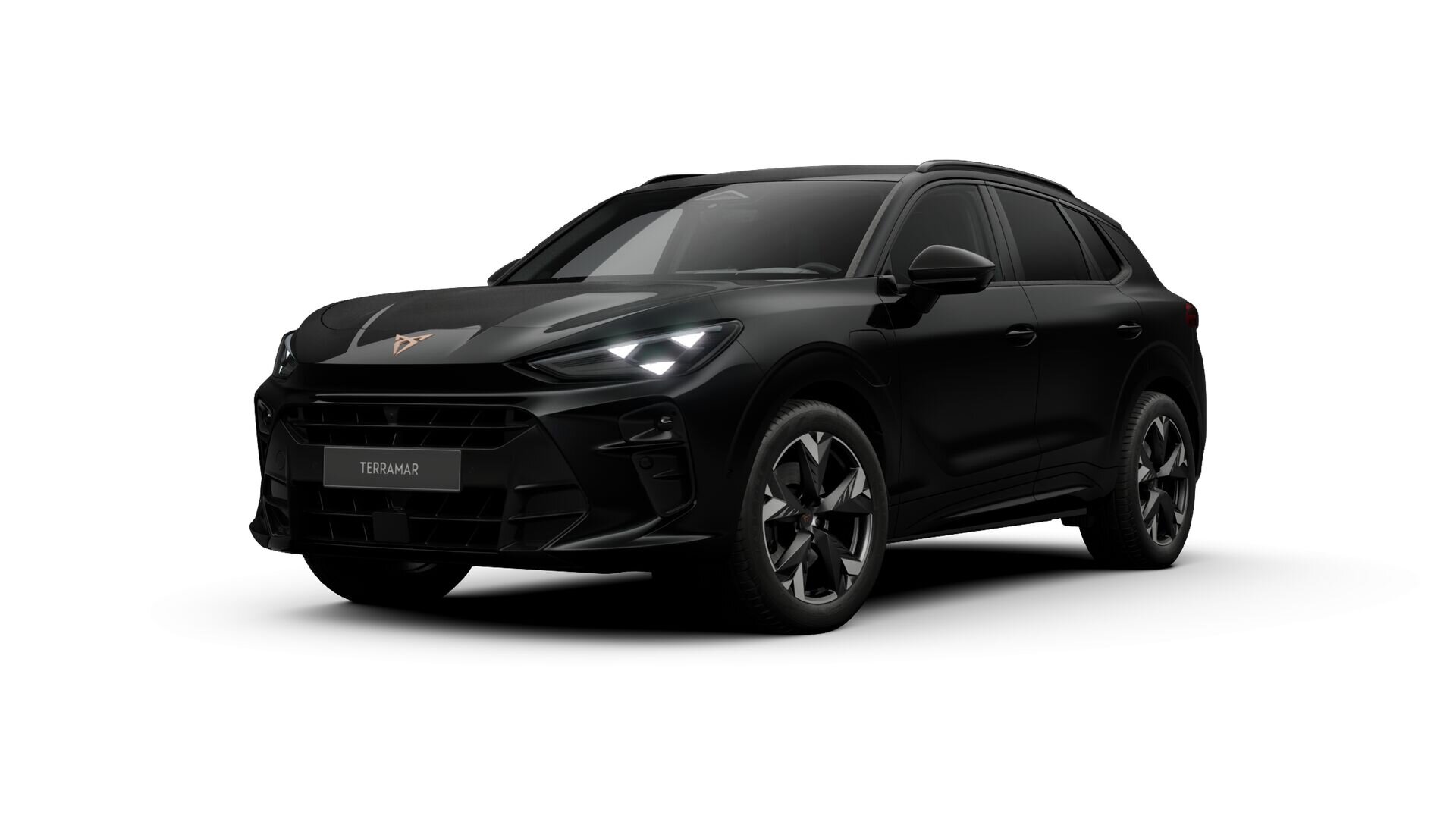 CUPRA Terramar Business