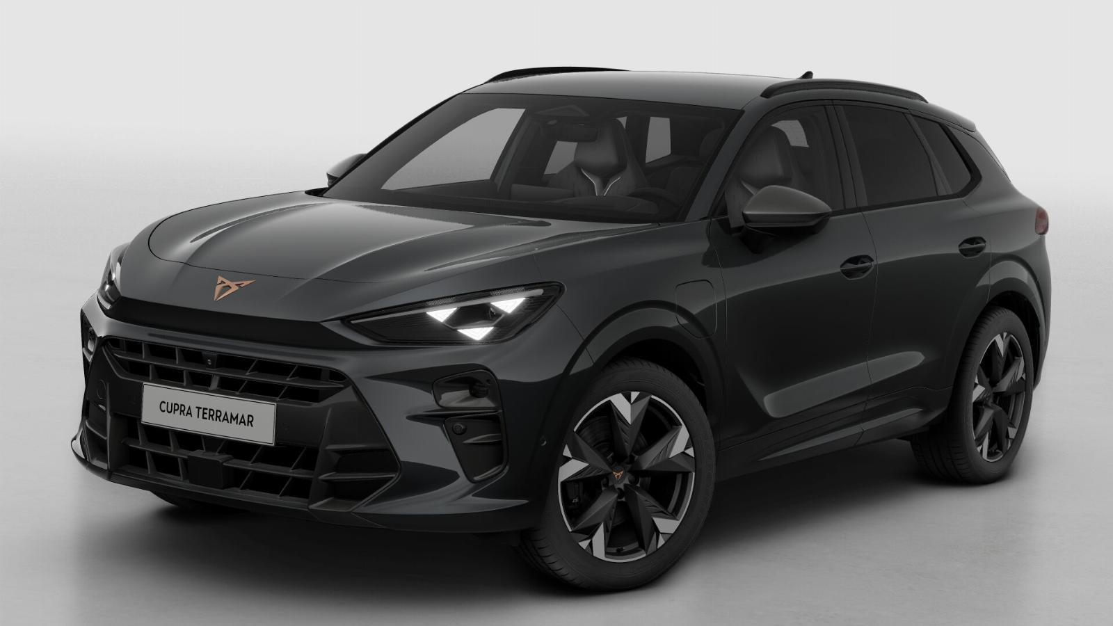 CUPRA Terramar Business - Afbeelding 2