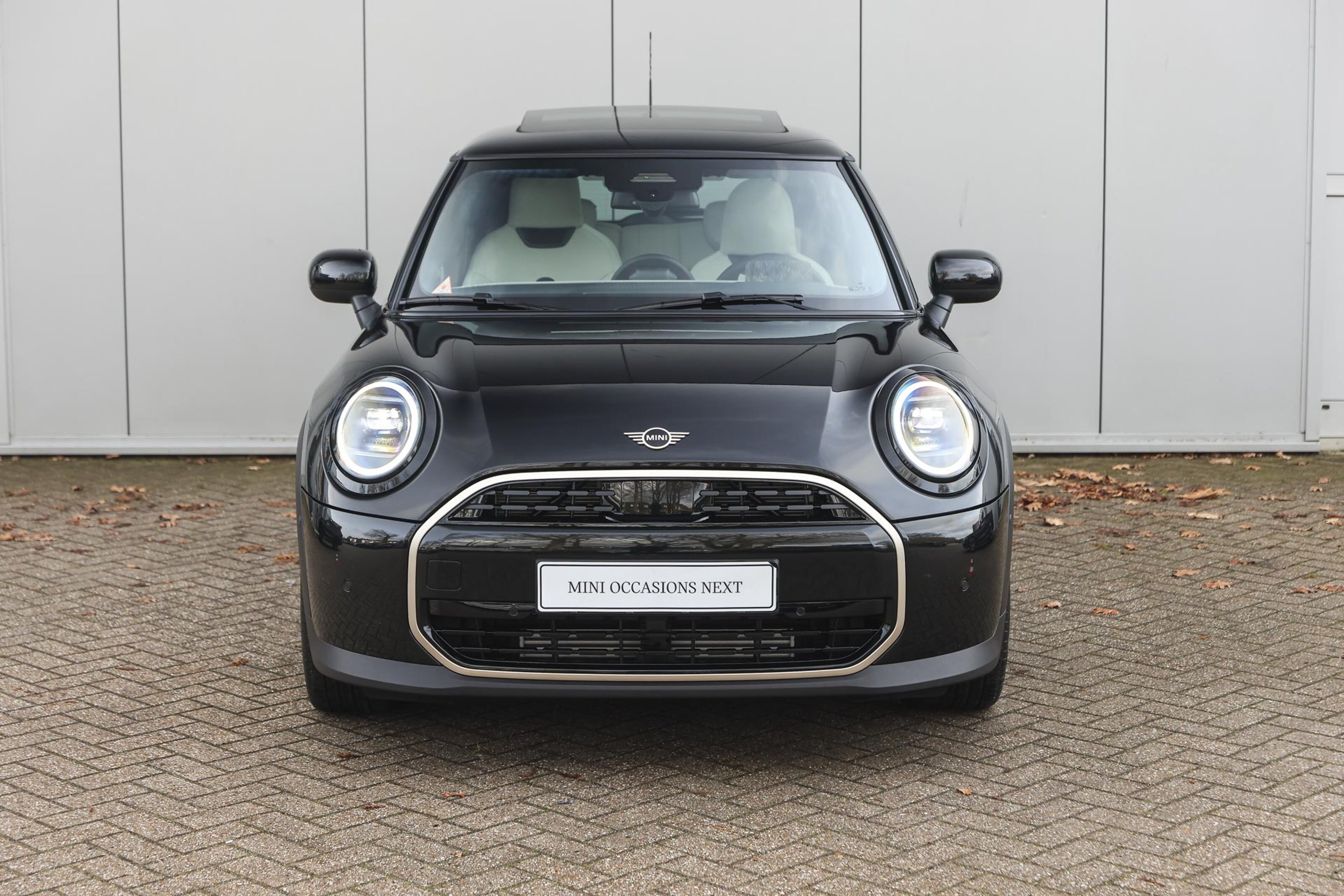 MINI 3-Deurs 6
