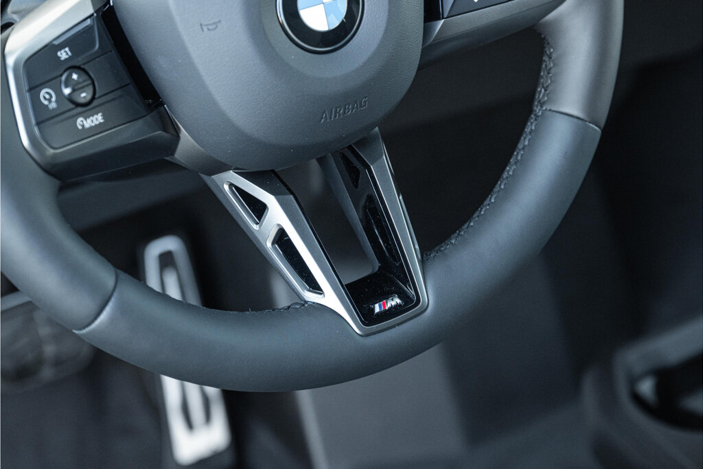 BMW iX 29