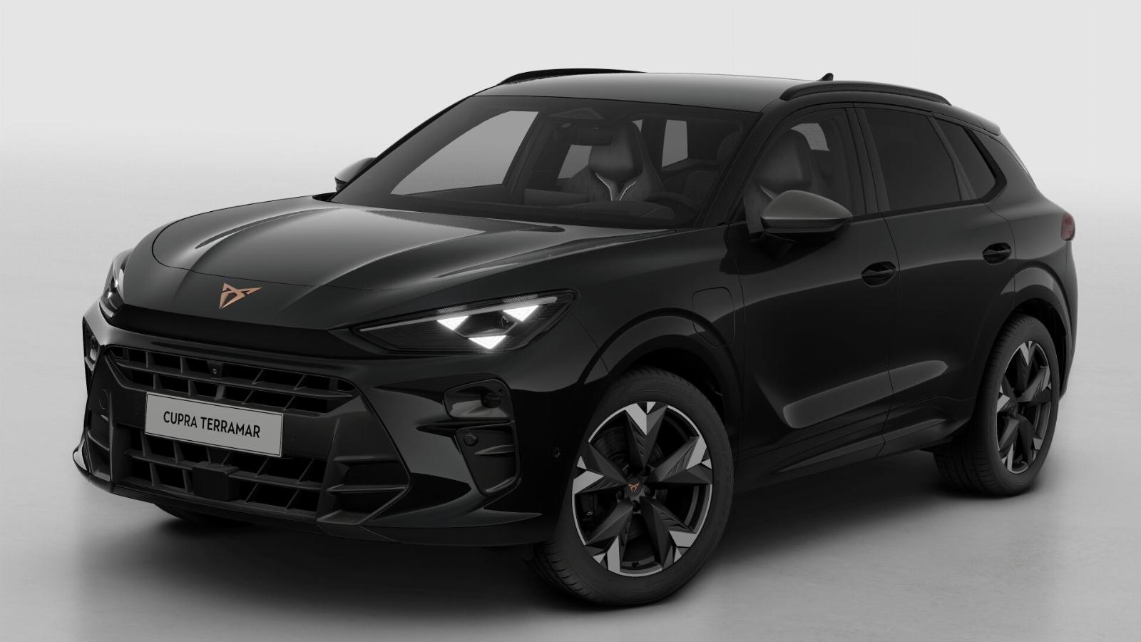 CUPRA Terramar Business - Afbeelding 2