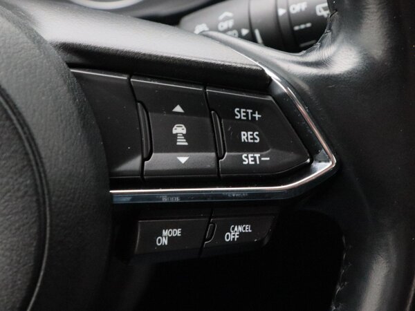 cruise control adaptief met Stop&Go