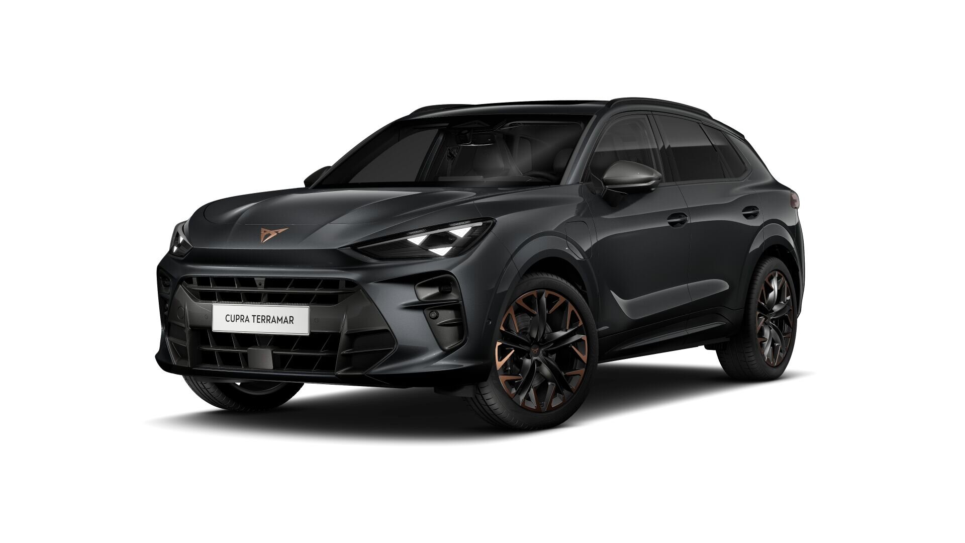 CUPRA Terramar Business