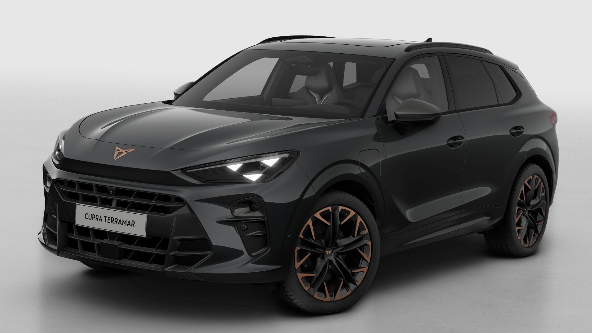 CUPRA Terramar Business - Afbeelding 2