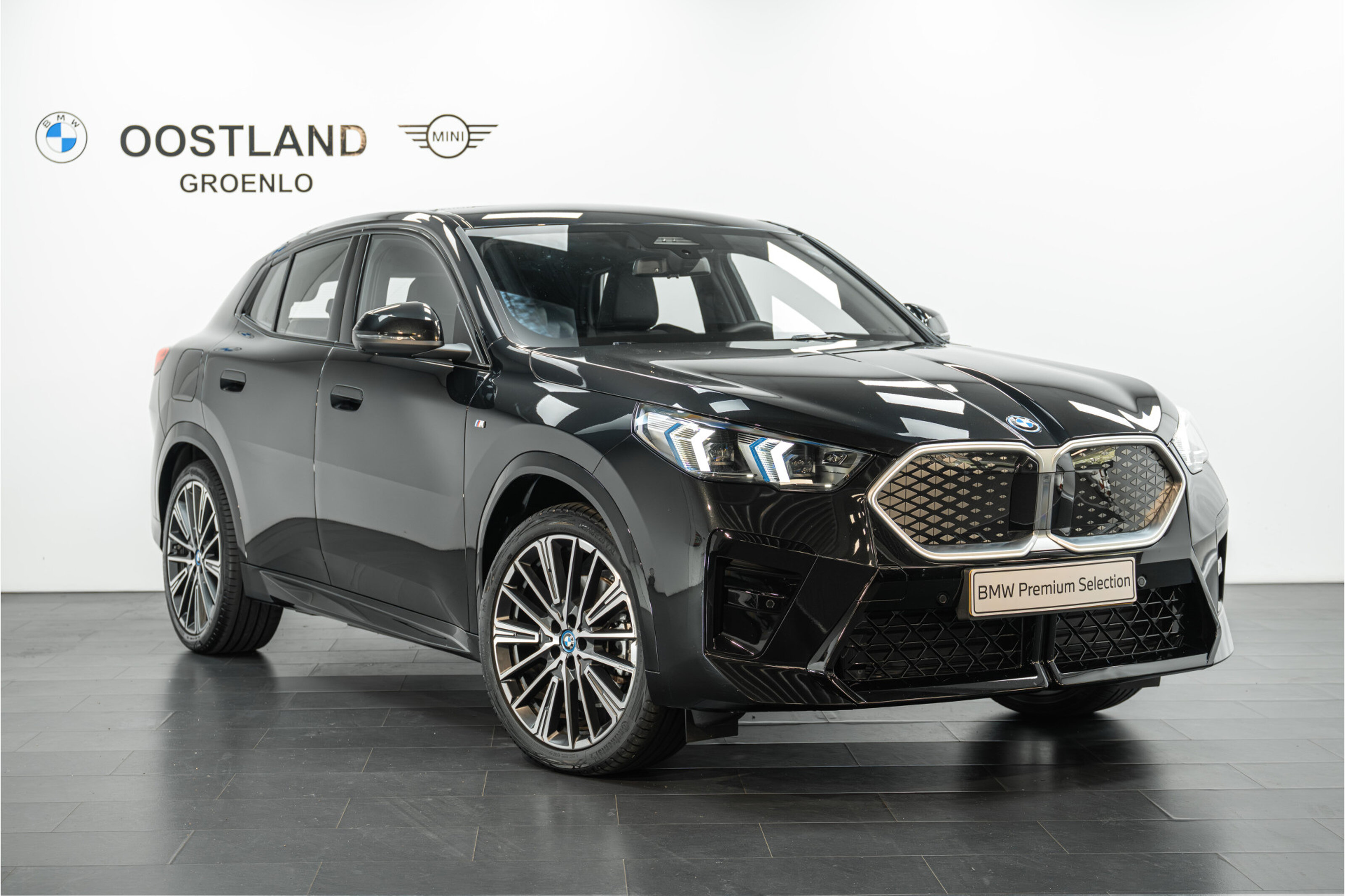 BMW iX2 xDrive30 High Executive M Sport