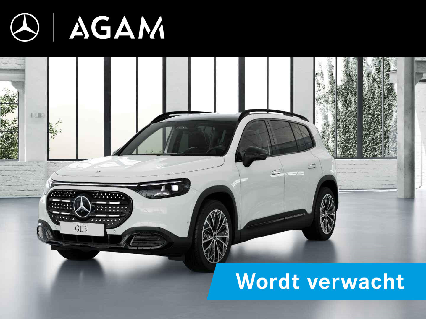 Mercedes-Benz GLB electric 250+ Business Solution Luxury 85.5 kWh