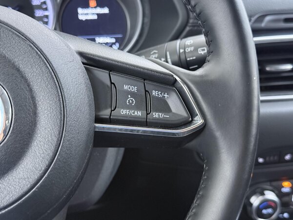 cruise control adaptief met Stop&Go