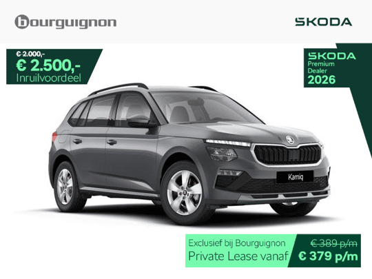 Škoda Kamiq Selection 1.0 TSI 115 PK | Automaat
