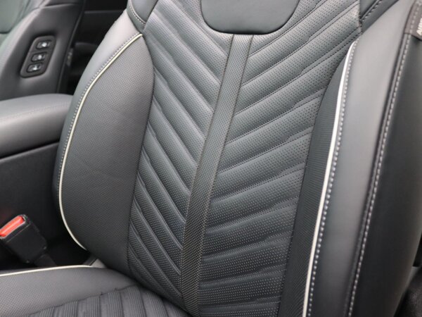luxe lederen bekleding