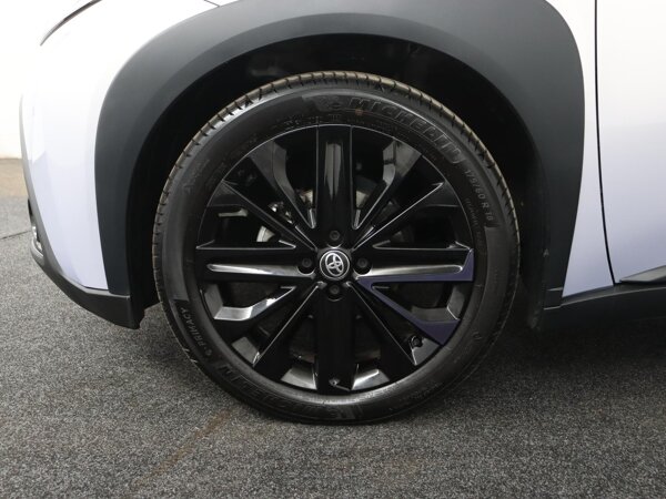 18” lichtmetalen velgen zwart met ‘Dark Jasmine’ accenten