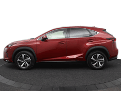 Lexus NX 300h President Line Limited - Afbeelding 3
