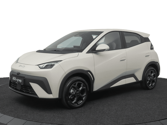 BYD DOLPHIN SURF Boost 43 kWh