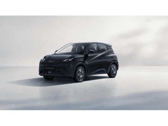 BYD DOLPHIN SURF Active 30 kWh