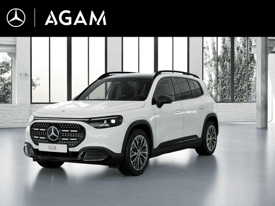 Mercedes-Benz GLB electric 250+ Business Solution Luxury 85.5 kWh