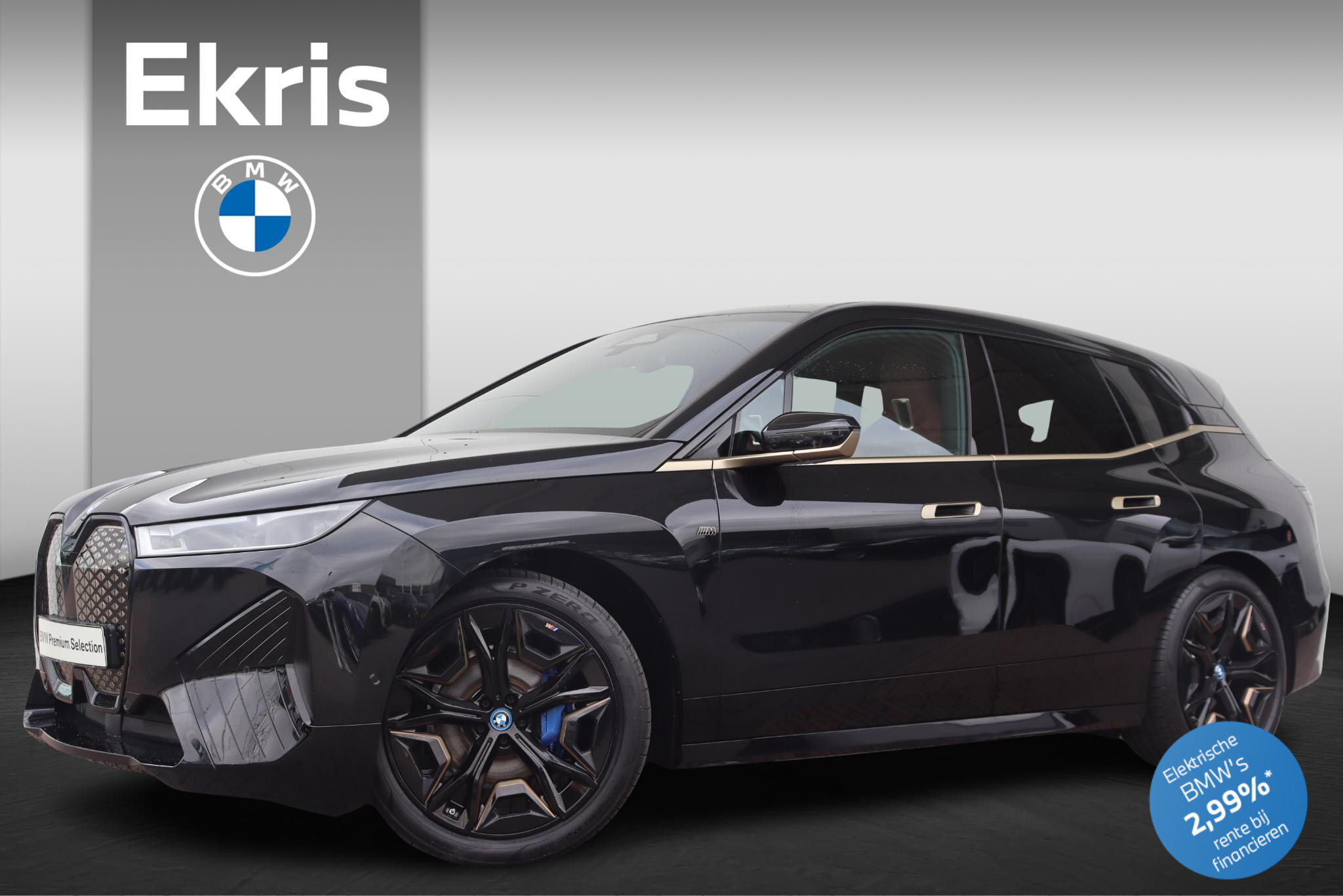BMW iX xDrive50 Executive 112 kWh
