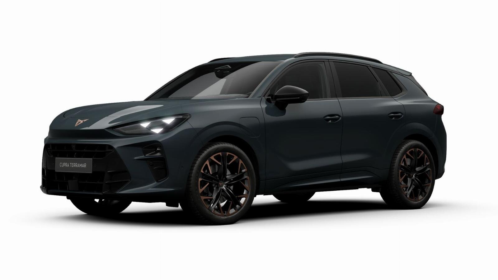 CUPRA Terramar Business - Afbeelding 2