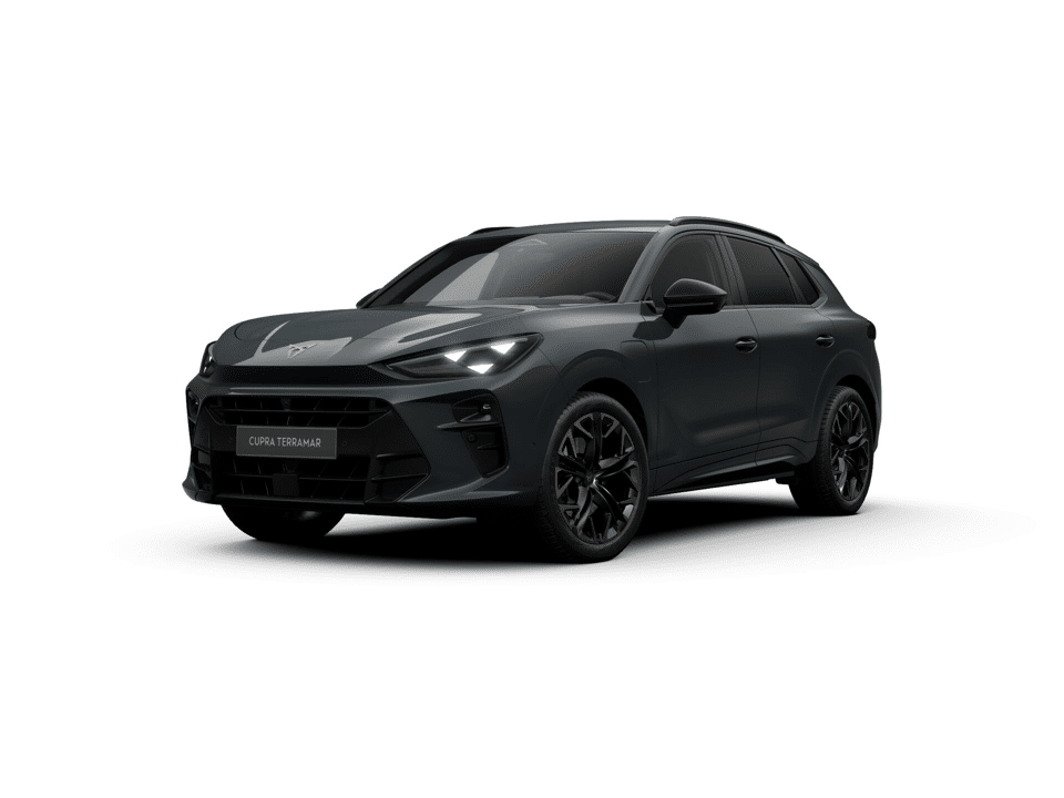 CUPRA Terramar Business - Afbeelding 1