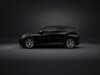 Cupra Raval