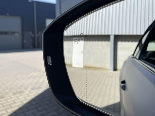 dodehoek detectie
