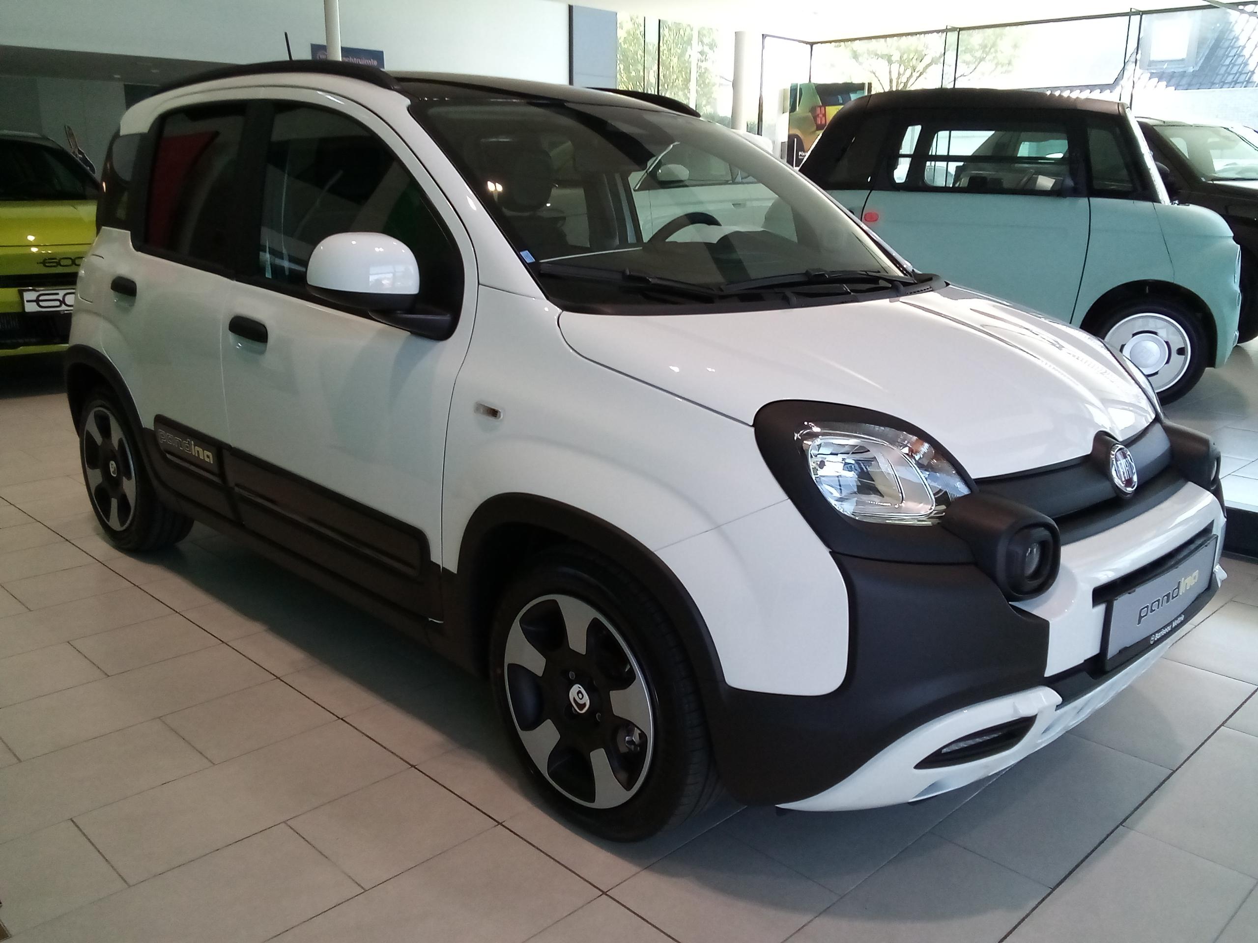 Fiat Panda Pandina MY26-CROSS