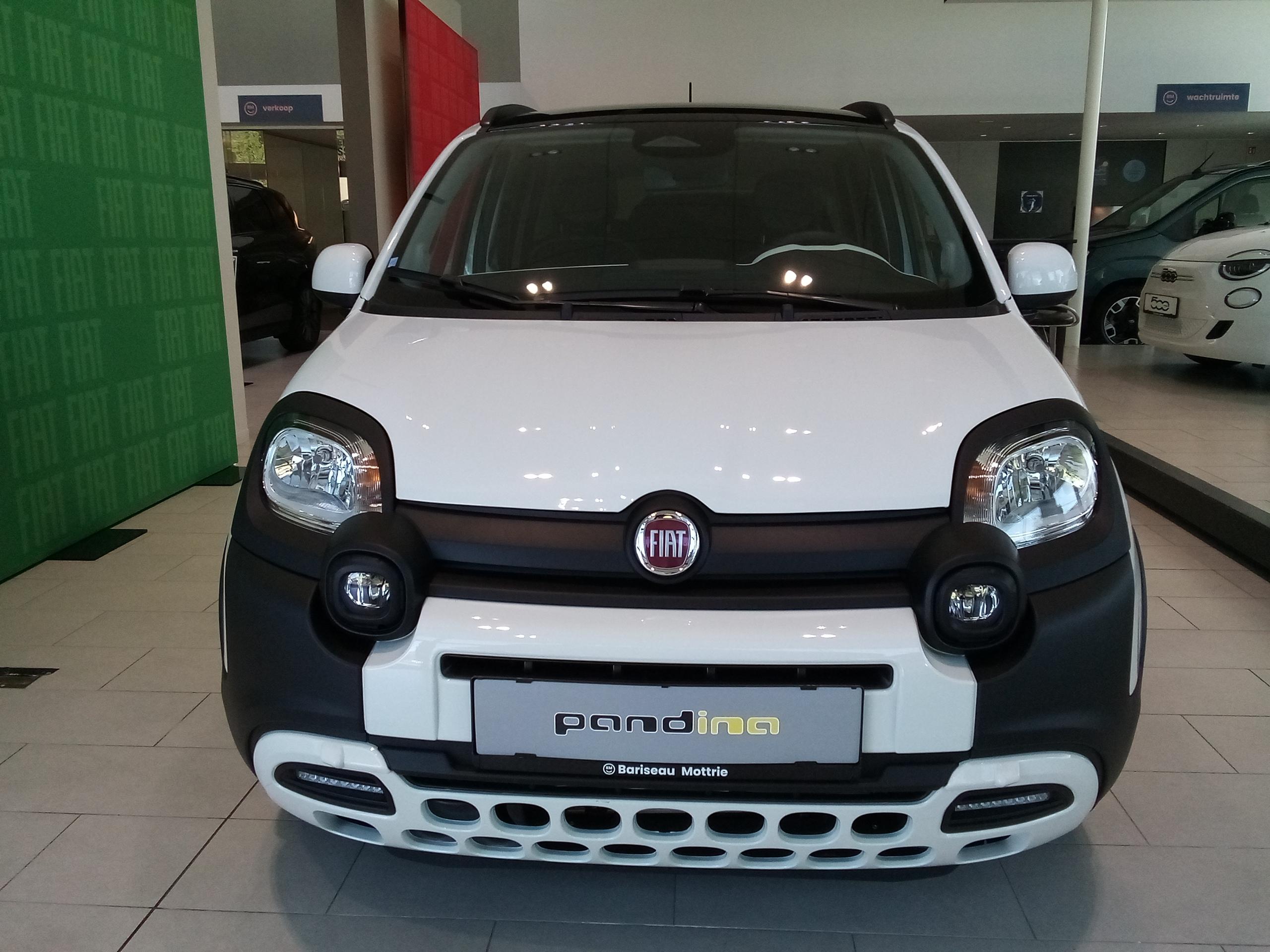 Fiat Panda Pandina MY26-CROSS - Afbeelding 3