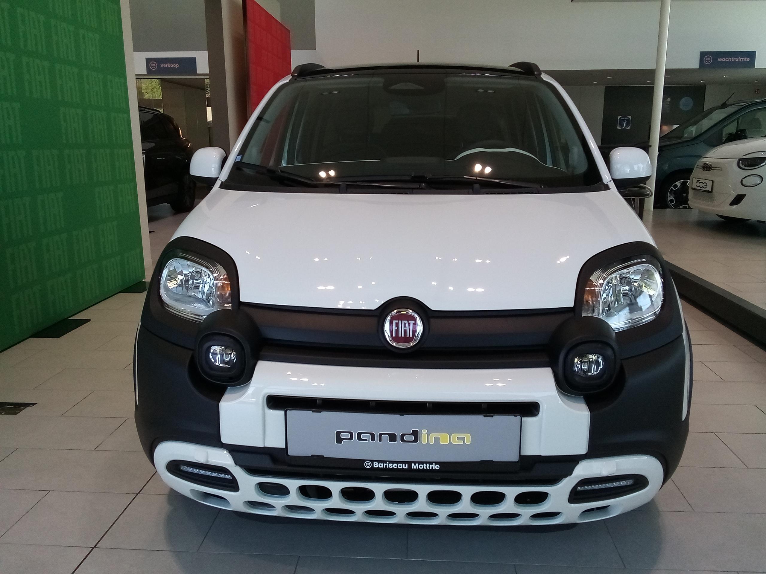 Fiat Panda Pandina MY26-CROSS - Afbeelding 4