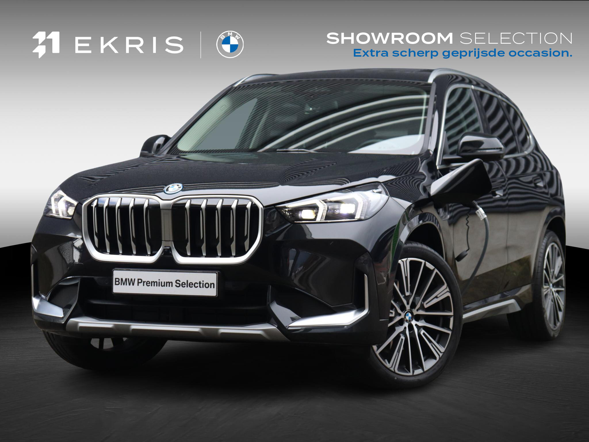 BMW X1 xDrive25e