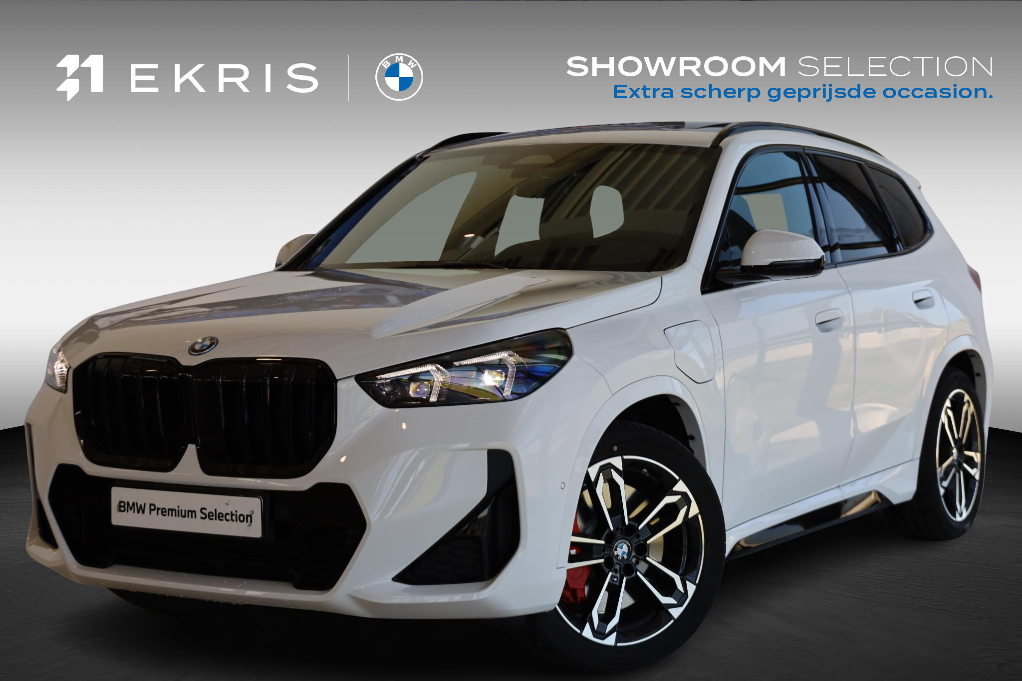 BMW X1 xDrive25e