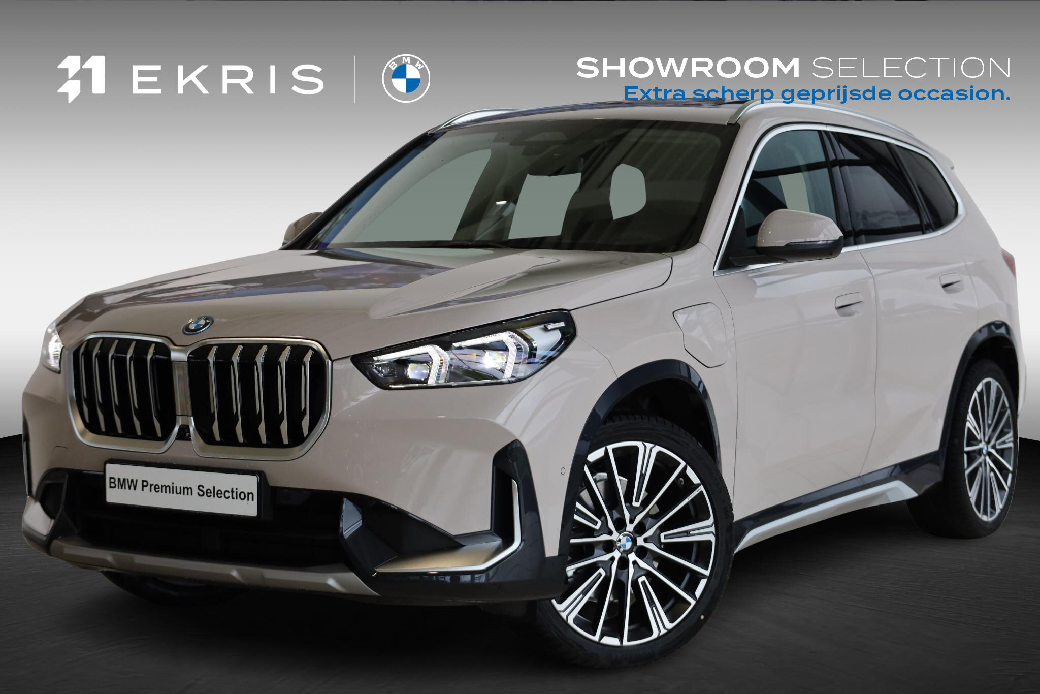 BMW X1 xDrive25e