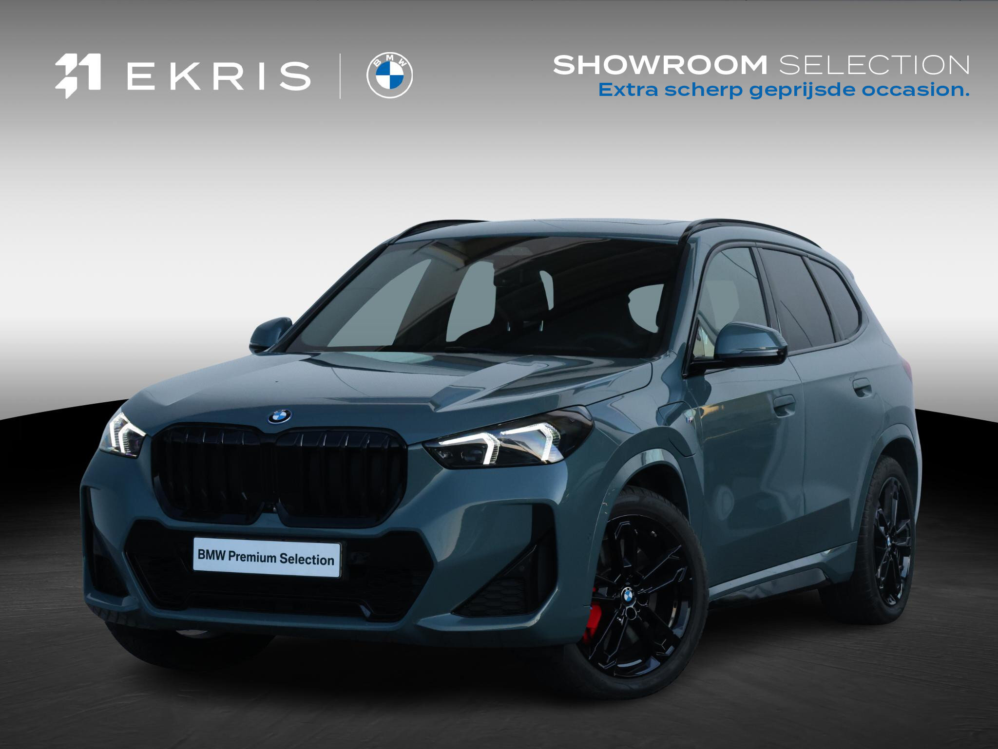 BMW X1 xDrive25e