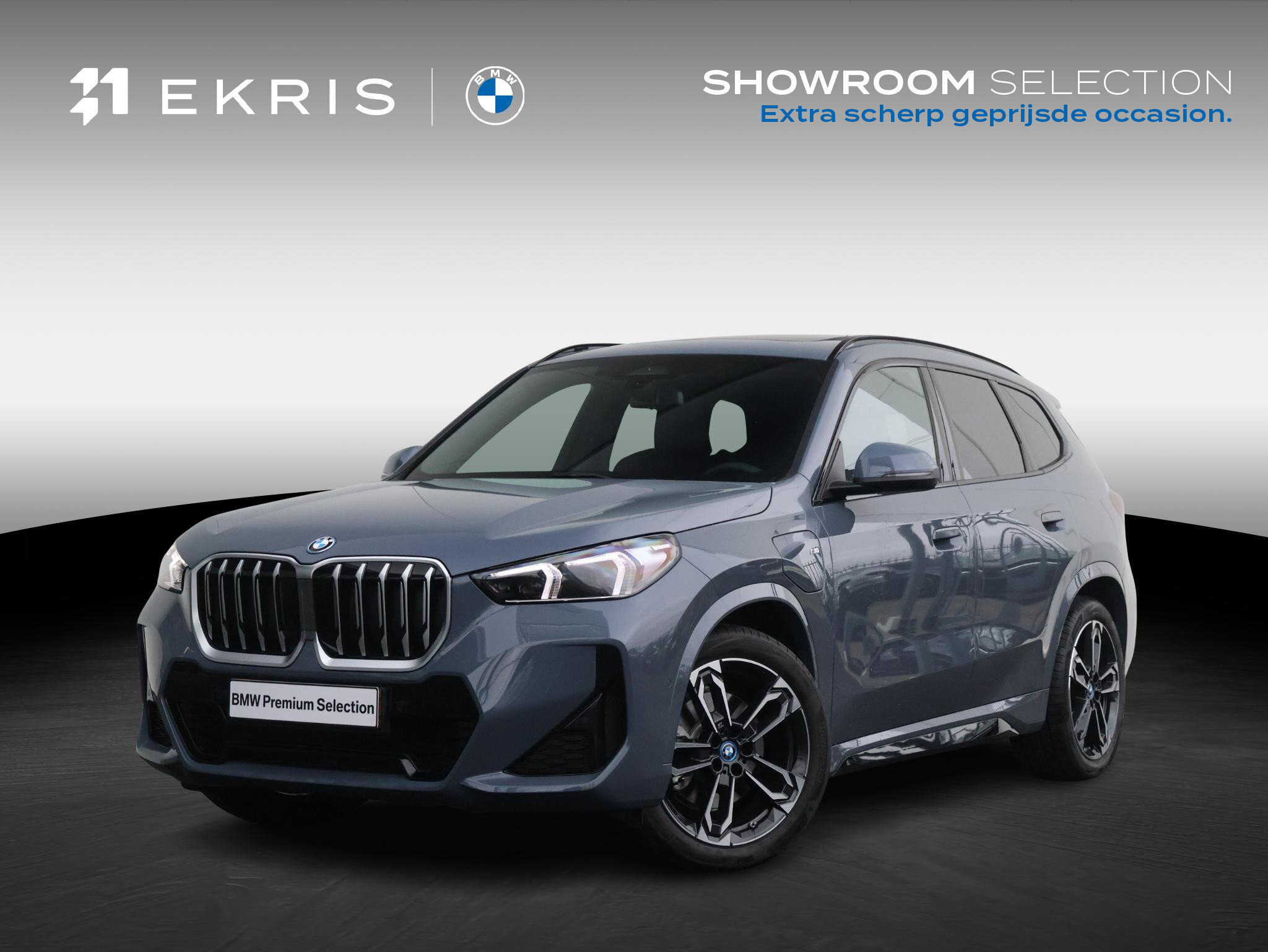 BMW X1 xDrive25e