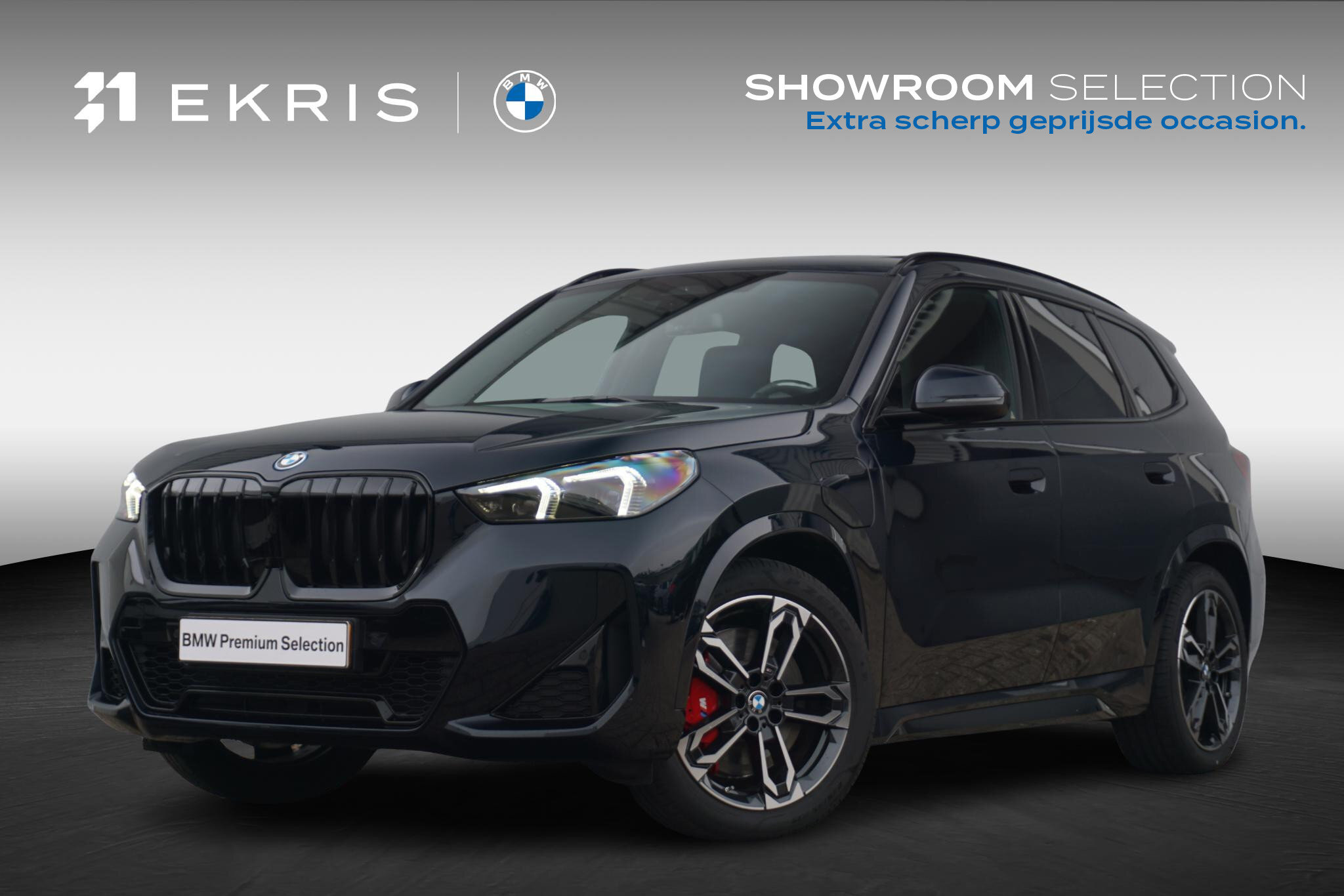 BMW X1 xDrive25e