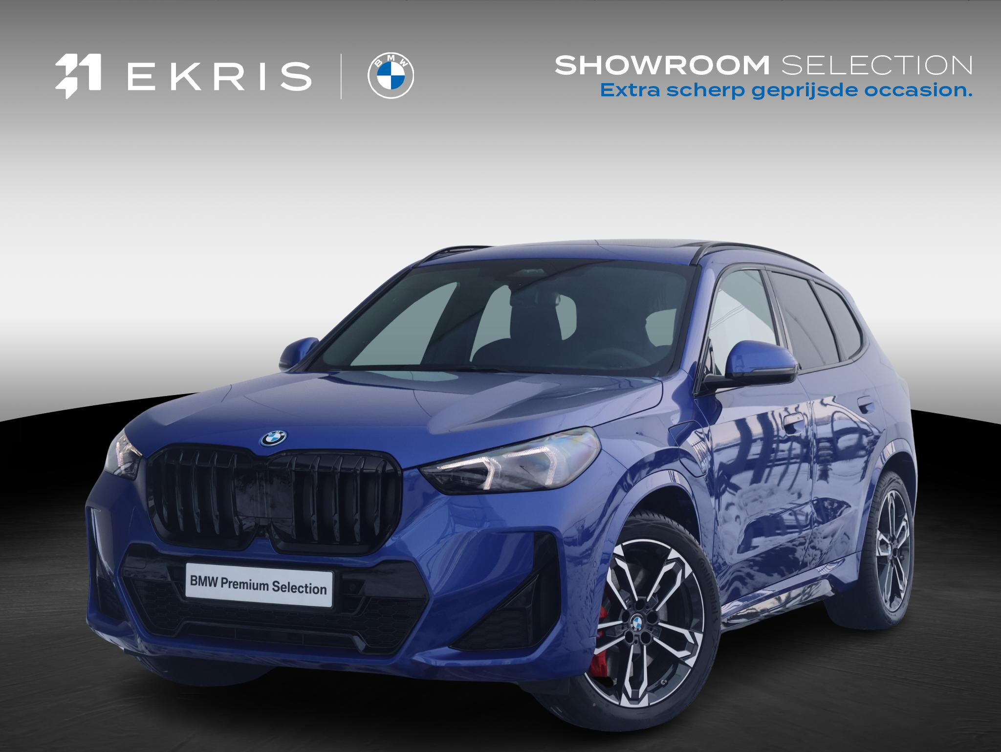 BMW X1 xDrive25e