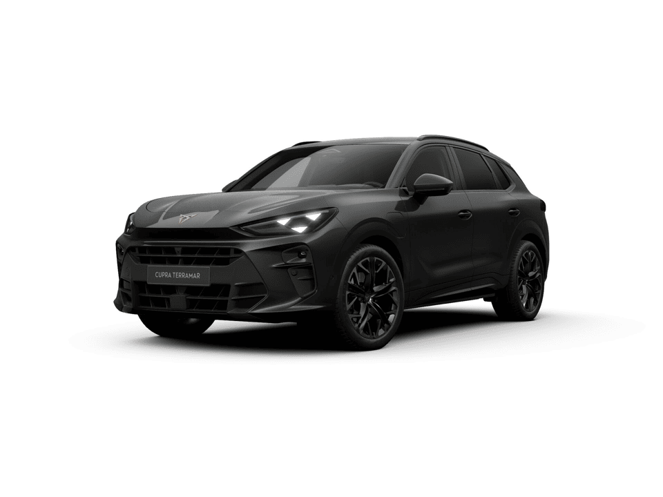 CUPRA Terramar Business - Afbeelding 1