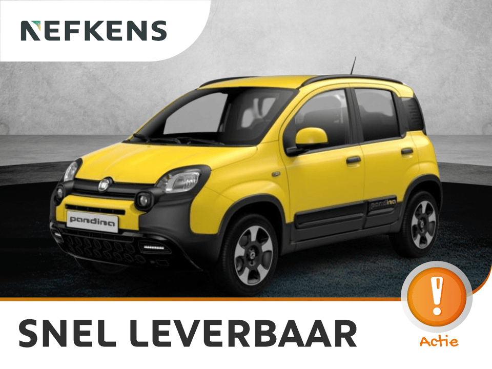 Fiat Pandina Cross - Afbeelding 1