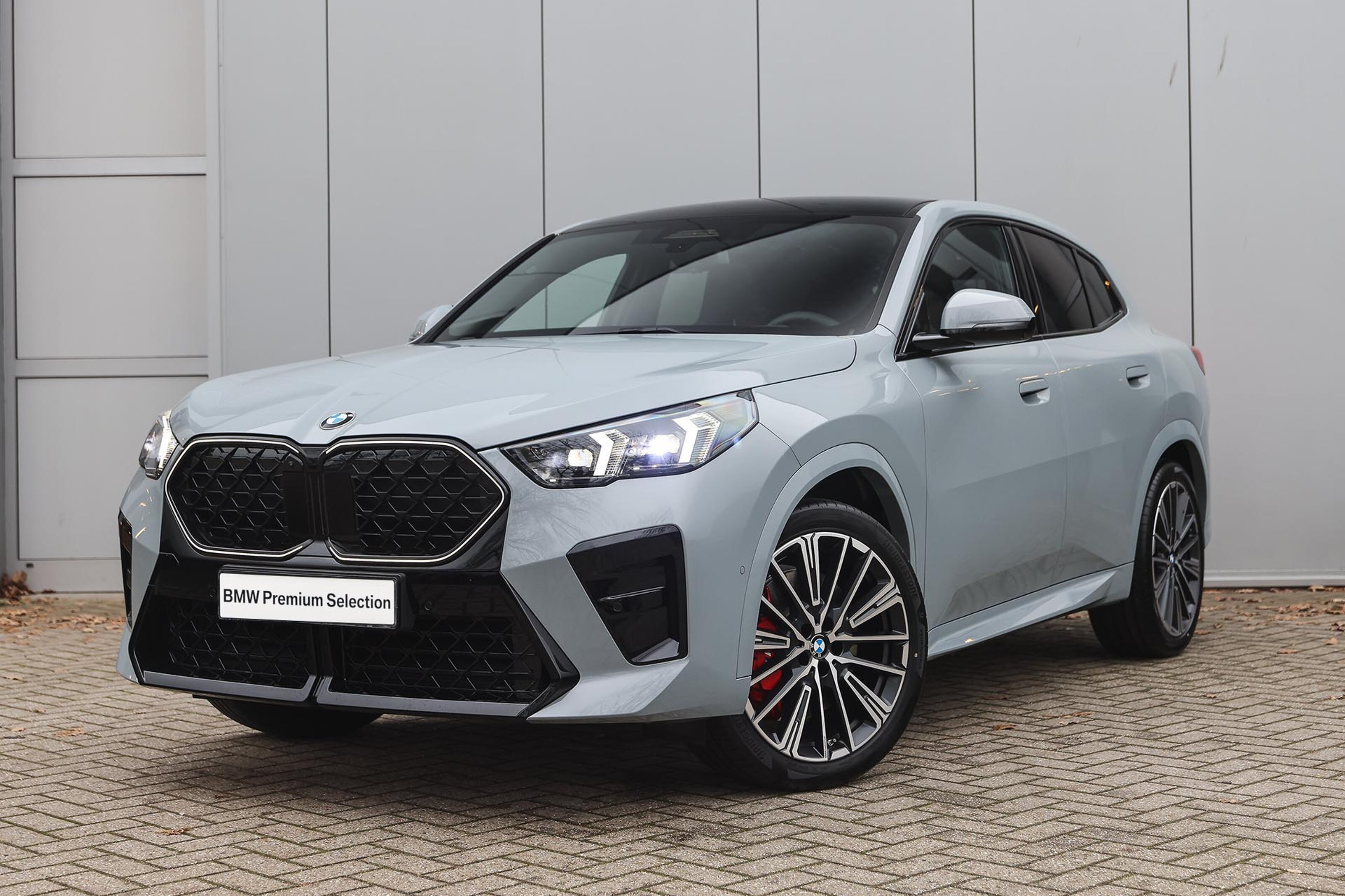 BMW X2 sDrive20i M Sport Automaat