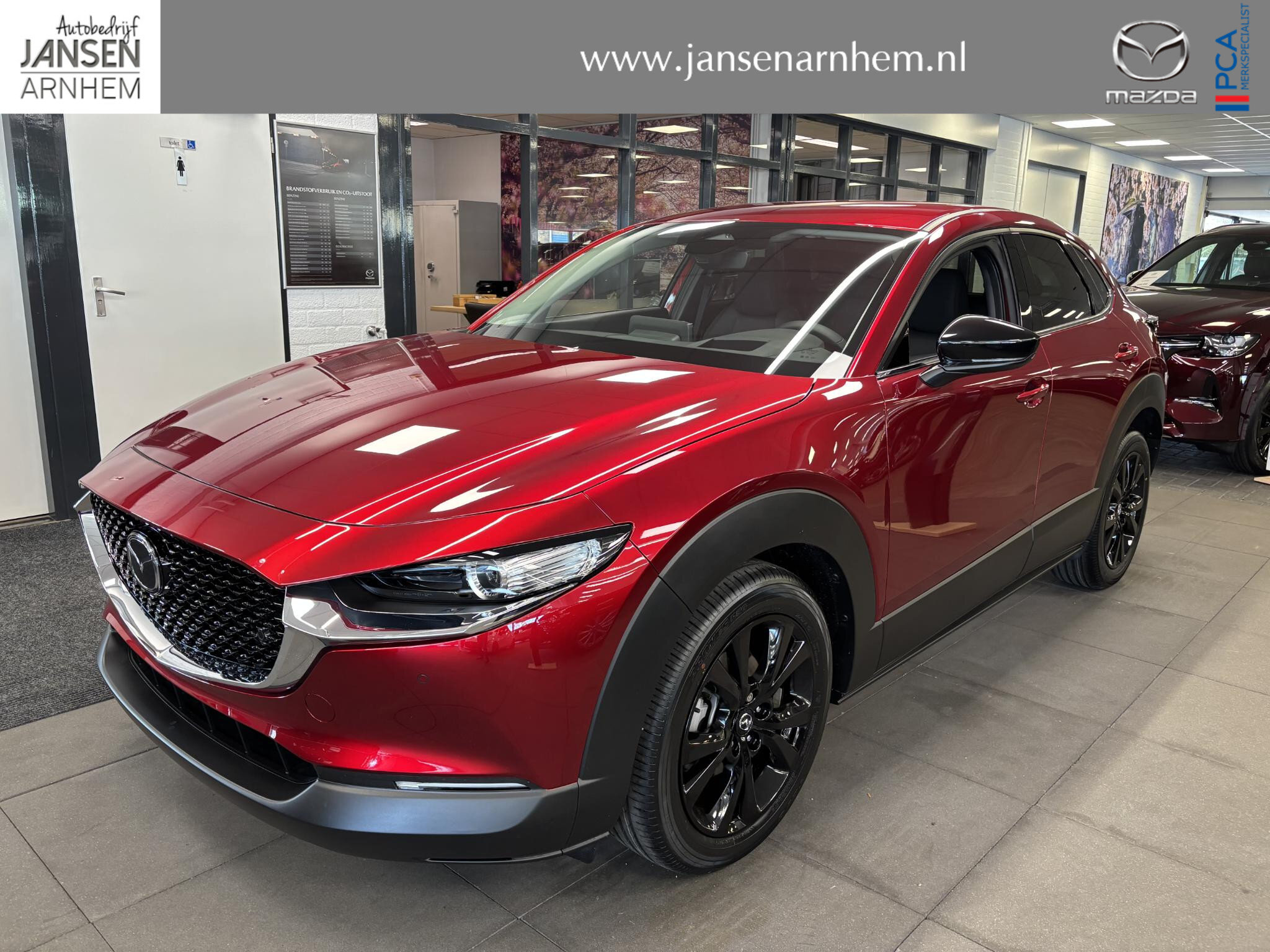Mazda CX-30 2.5 e-SkyActiv-G 140 M Hybrid Homura