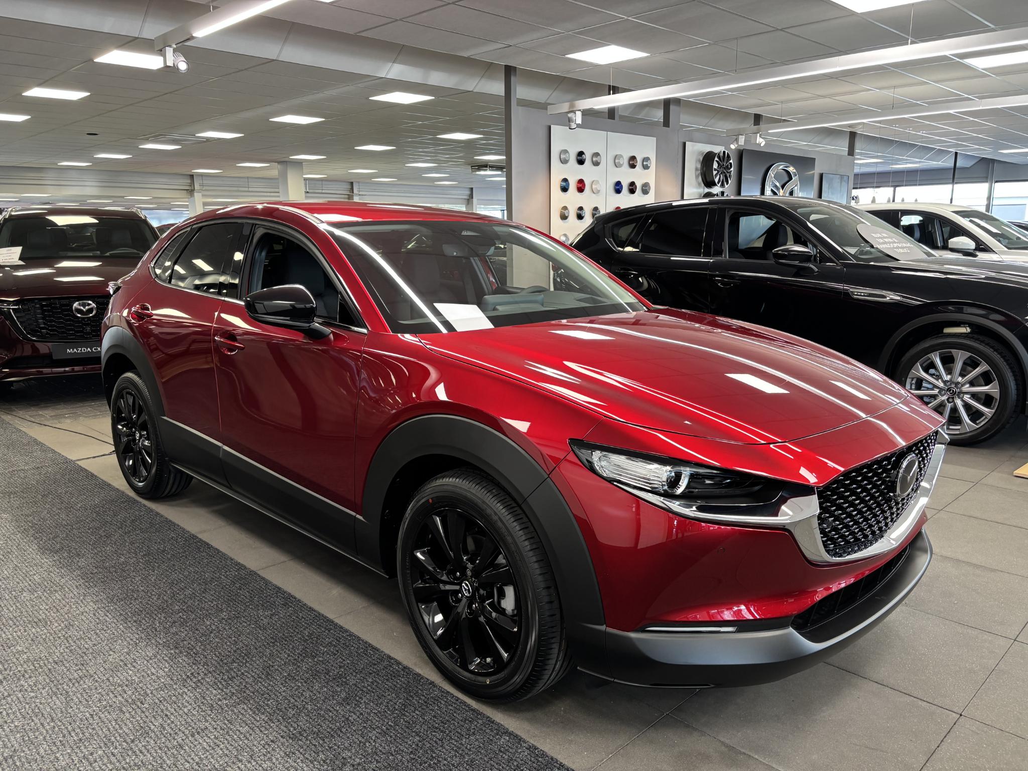 Mazda CX-30 2.5 e-SkyActiv-G 140 M Hybrid Homura - Afbeelding 2