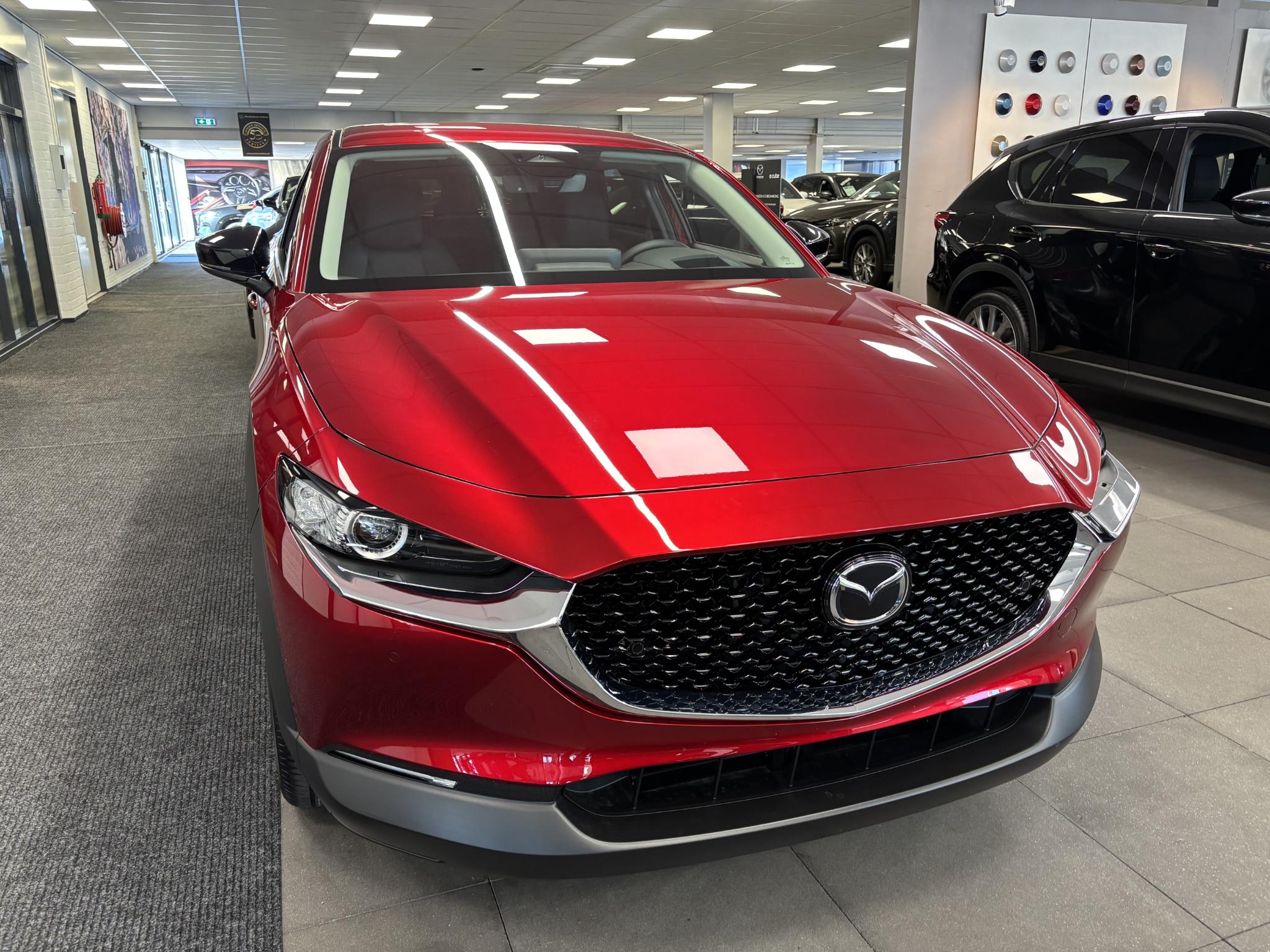 Mazda CX-30 2.5 e-SkyActiv-G 140 M Hybrid Homura - Afbeelding 5